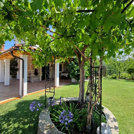 בית נופש House Murva- Pet Friendly