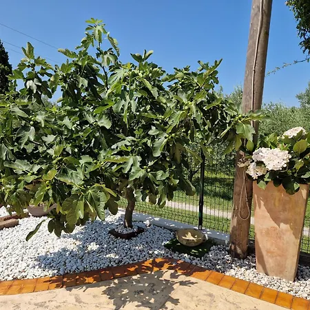 House Murva- Pet Friendly Dragonja