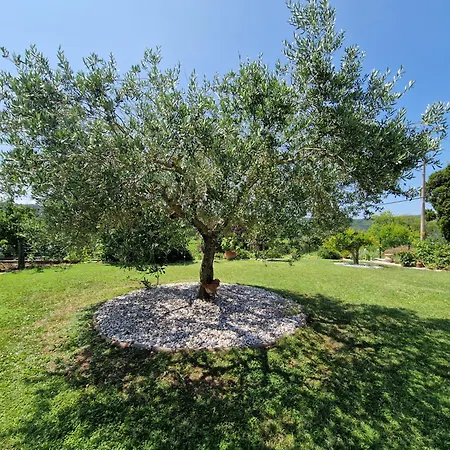 House Murva- Pet Friendly